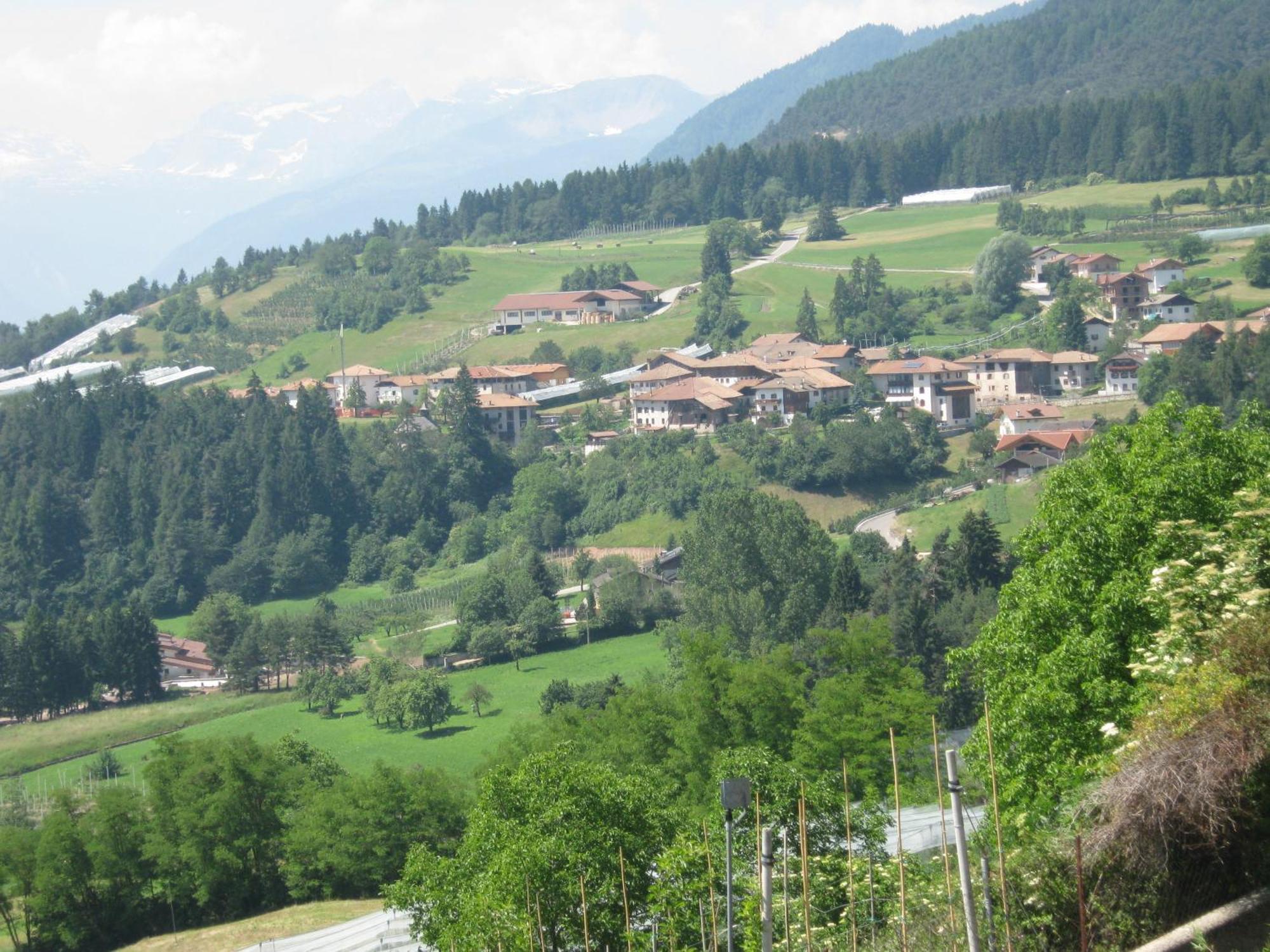 Agriturismo Pisani Villa Brez Exterior photo